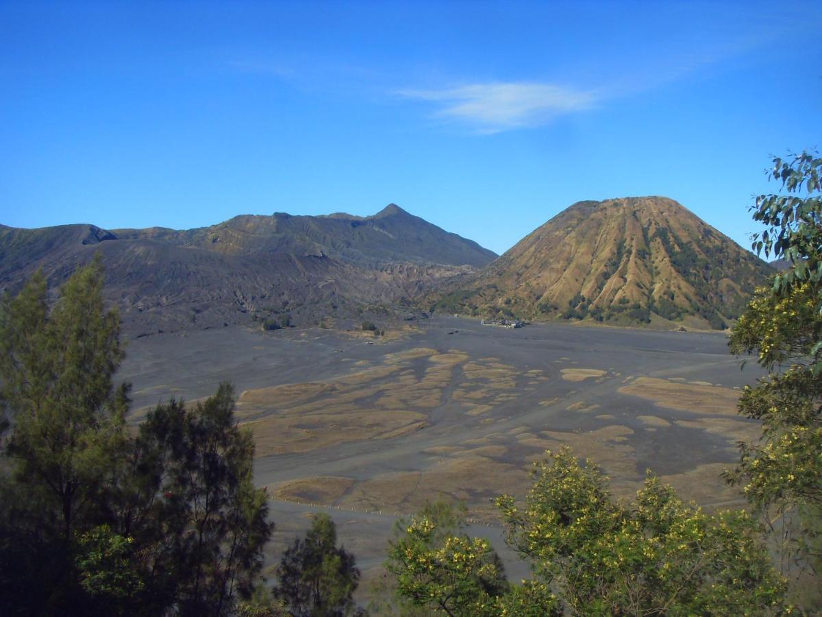 Cahyo Homestay Bromo Exterior photo